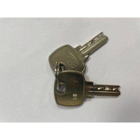 FAA194F2-SH2 -SH2 KEY SET OF 2 KEYS + OTIS RING