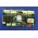 CONTROL OPERADOR 1026688801 PLACA  CONTROL UCO-CMC4+ 10083024  THYSSEN (1.01)
