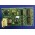 OTIS GAA25005M10  ACCB PCB SUMMER LEITERKARTE OTIS2000