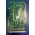 KONE  KM355607G01 CARTE IMP TMS200 REG 1 KONE
