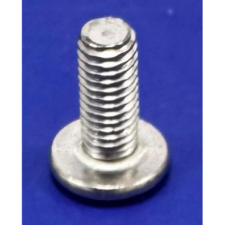 KM243378 VIS ANTI-VANDALE M5X12 KONE