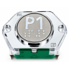 DEWHURST US95 BUTTON LEGEND " P1"