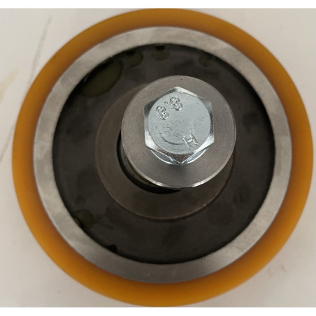 10067009 - GALET R-1 AVEC AXE